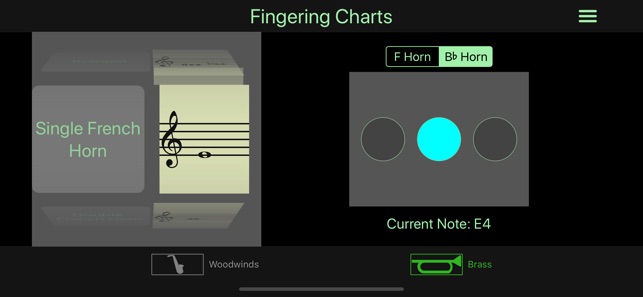 Instrument Fingering Charts(圖4)-速報App