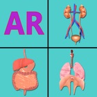 Top 37 Education Apps Like AR Incredible human body - Best Alternatives