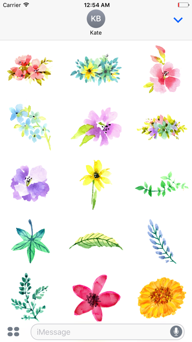 How to cancel & delete Watercolor Flowers Spring Words from iphone & ipad 1