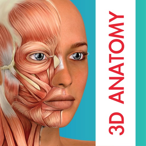 Human Anatomy 3D - Medical