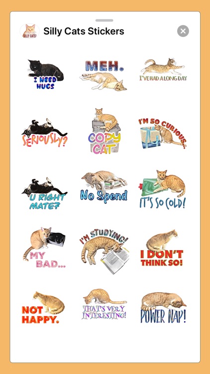 Silly Cats Stickers by Jennifer Mullett
