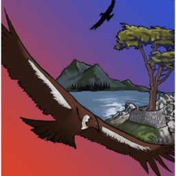 Monterey Condors Club