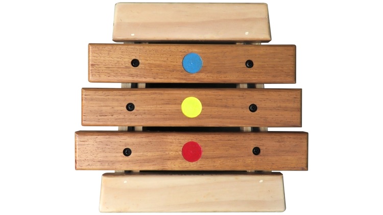 Xylophone - Musical Muscles