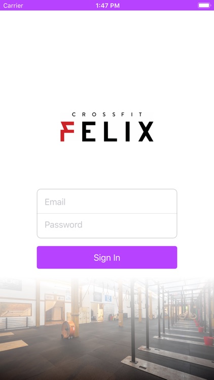 The Audacious Spirit