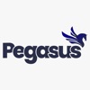 Pegasus - Cliente