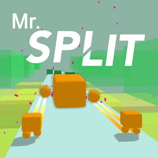 Mr Split