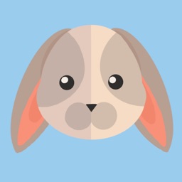 Agile Rabbit