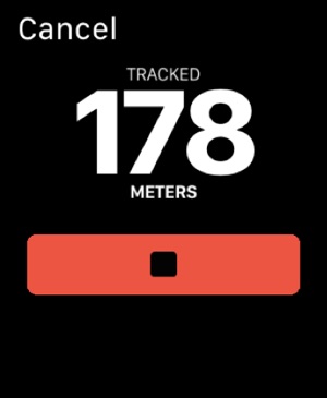 hole 19 apple watch manual