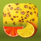 Top 26 Education Apps Like Citrus Diseases Key - Best Alternatives