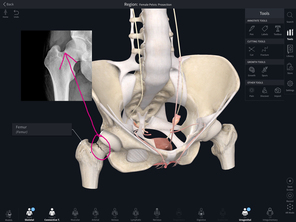 45 Top Images Complete Anatomy App Store : Complete Anatomy 2019 App Download - Android APK
