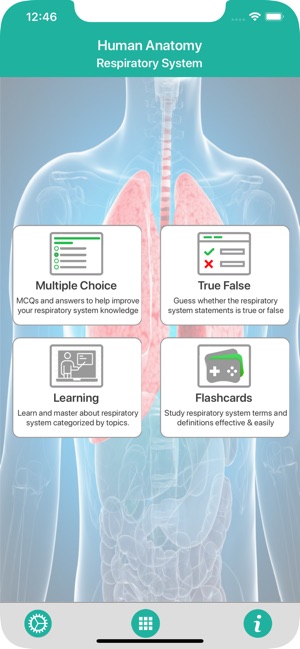 Anatomy : Respiratory System