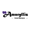 Amaryllis Hotels - Thokozani Manguwo Mbewe
