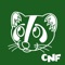 Icon CNF Cantonese Romanization