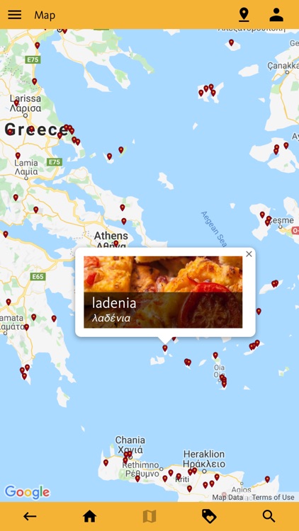 Greek Food Decoder screenshot-3