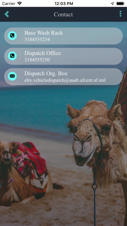 379TH ELRS GROUND TRANS