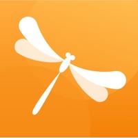 蜻蜓单词 pour PC