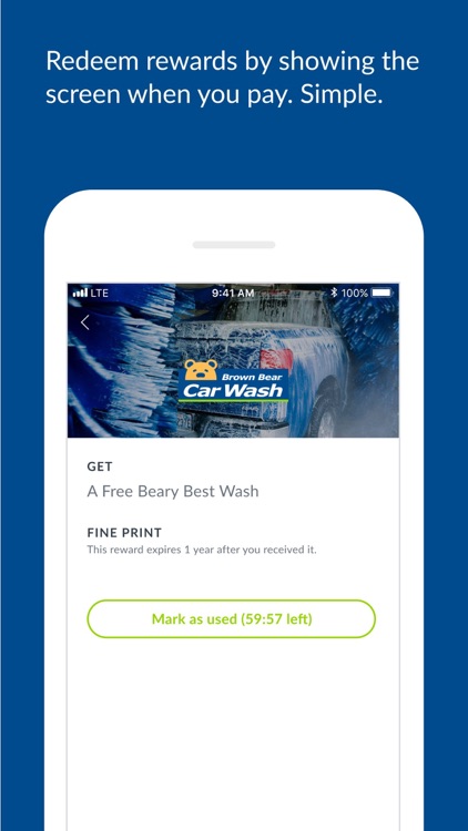 Brown Bear Car Wash