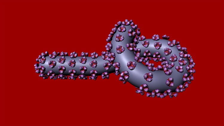 Bio Virus Structure in 3D