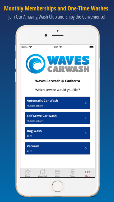 Waves Car Washes screenshot 3