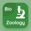 Icon Zoology Quiz Questions