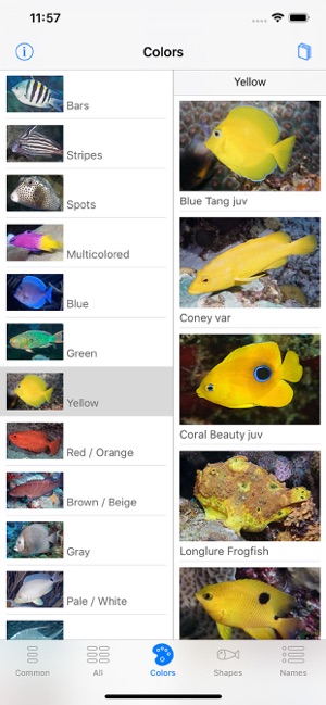 Easy Fish ID Caribbean(圖4)-速報App