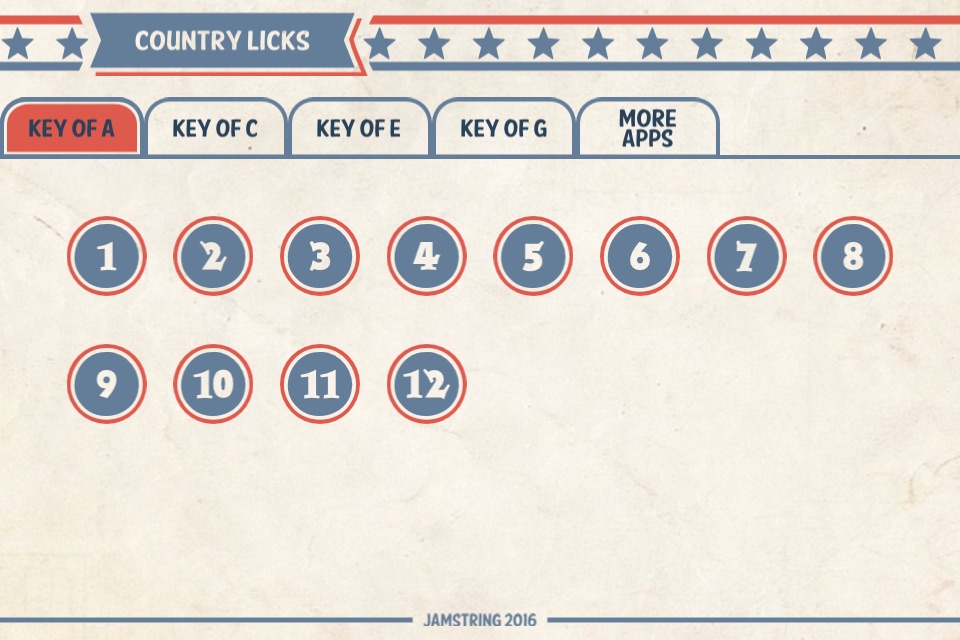 65 Country Guitar Licks screenshot 2