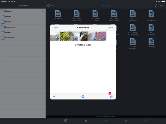 Phone Drive Lite: File Manager iPad app afbeelding 5