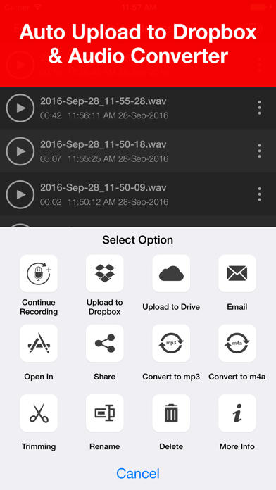 How to cancel & delete Voice Recorder - Audio Record from iphone & ipad 3