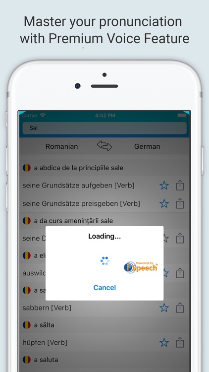 German Romanian Dictionary + screenshot-3