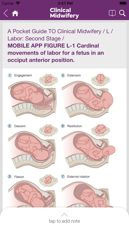 Guide to Clinical Midwifery screenshot-1