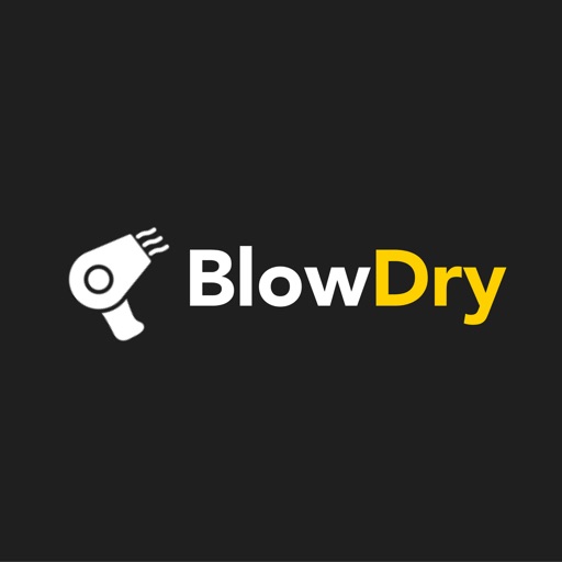 Blow Dry Service