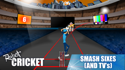 Robot Cricket screenshot 4