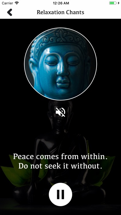 Buddha Meditation-Quotes-Teach