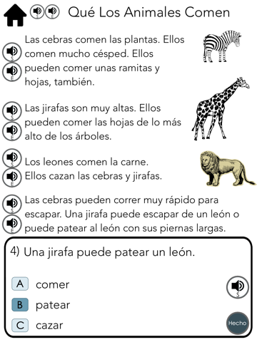 Spanish Comprehension 4 screenshot 2