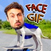 Face In Gif – create videos