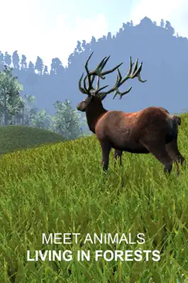 Game screenshot Explain 3D: Forest animals mod apk