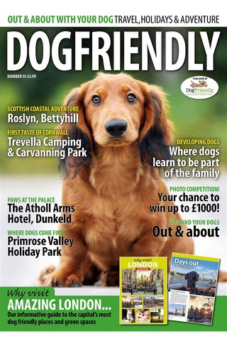 Dog Friendly Magazine screenshot 4