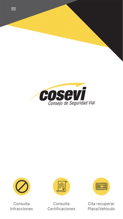 COSEVI screenshot 3