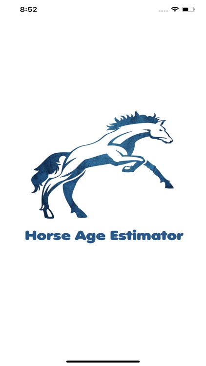 Horse Age Estimator