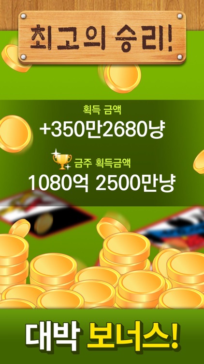 맞고 플레이 screenshot-4