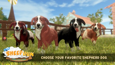 Silly Sheep Run- Farm Dog Game screenshot 3