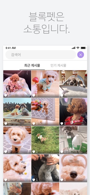 BlockPet(圖1)-速報App