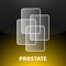 Diagnostic Radiology - MR Imaging in Prostate Cancer
