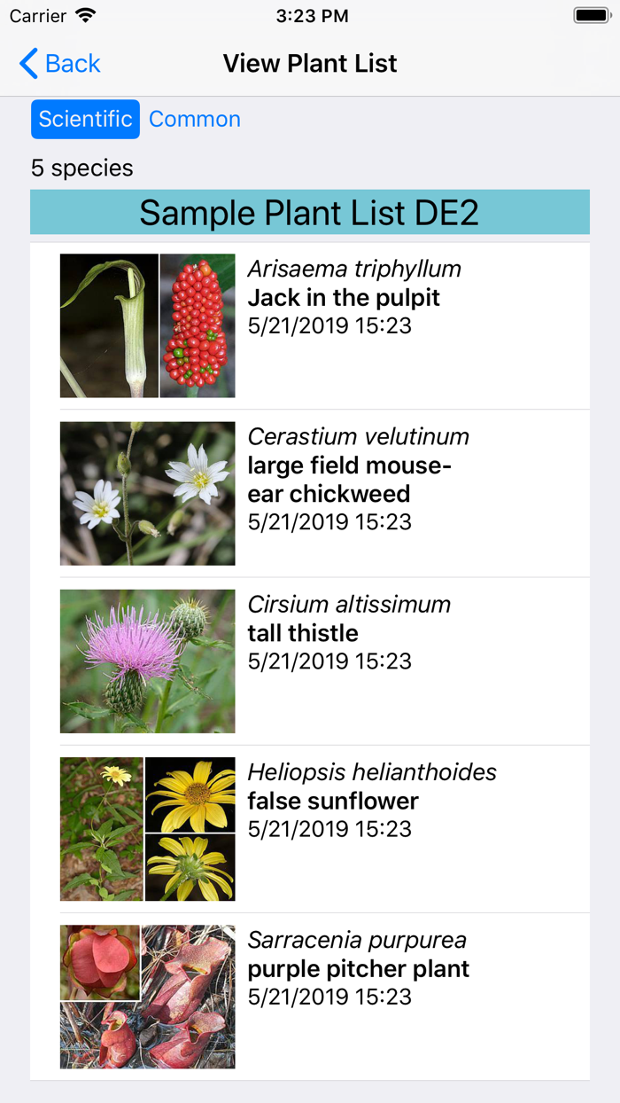 Delaware Wildflowers