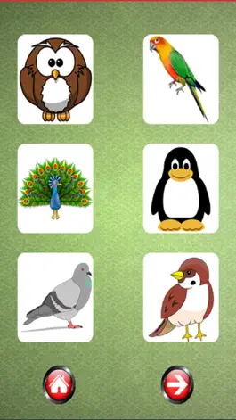 Game screenshot Sound Flash Cards of Birds apk