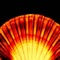 Sea Life EU ¬ A field guide of shells, fossils, animals and other species at the coast of Europe