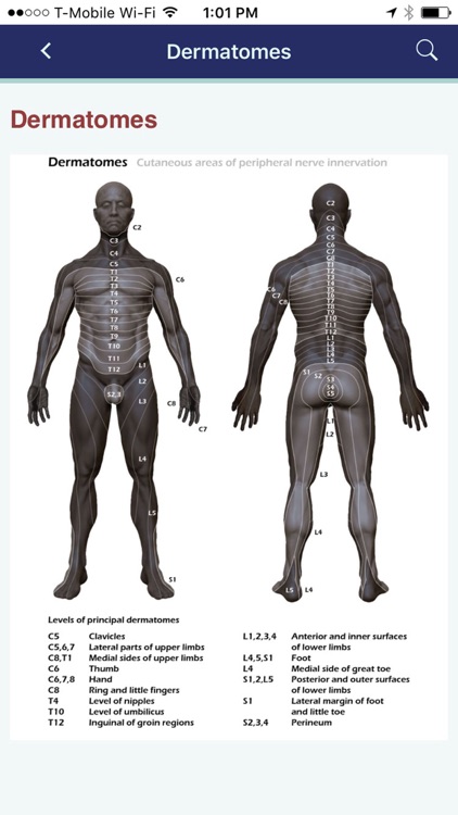Neurosurgery Survival Guide