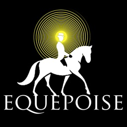 Equepoise UpperArm