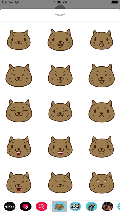 cat face text
