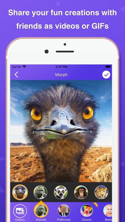 Pic Morph - Photo Face Swap